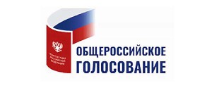 О голосовании за поправки в Конституцию РФ 